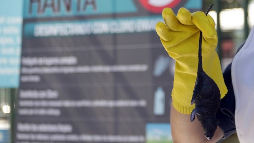El hantavirus en territorio bonaerense, fogoneado por el fantasma de los recortes