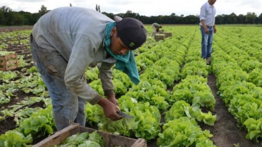 Pequeños productores insisten con una reforma agraria: “No avalamos la toma, pero pasa”