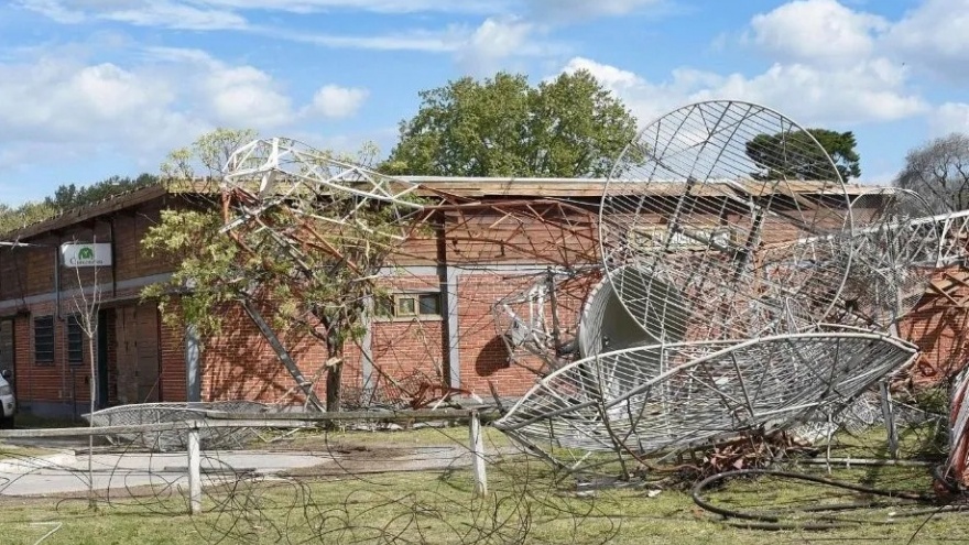 Hipódromo de La Plata: Descuidadamente tiraron antena “para ahorrar unos pesos”