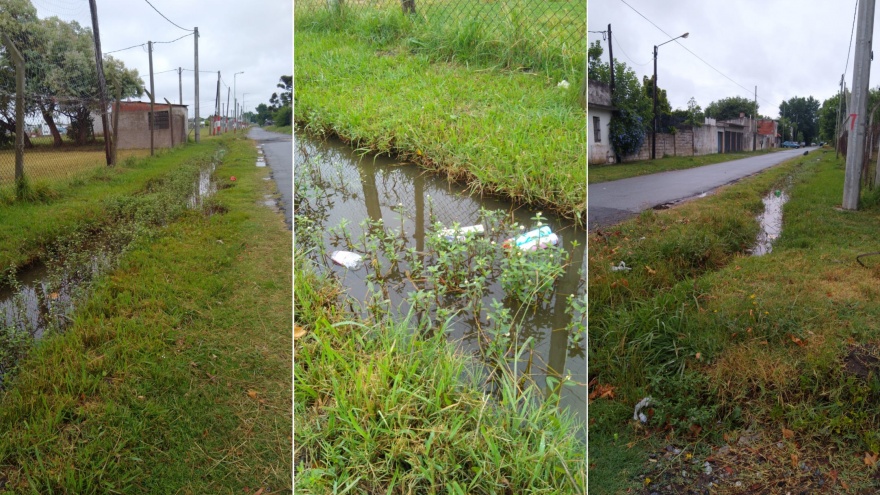 La Plata: Preocupados por el dengue, denuncian foco de infección en Altos de San Lorenzo
