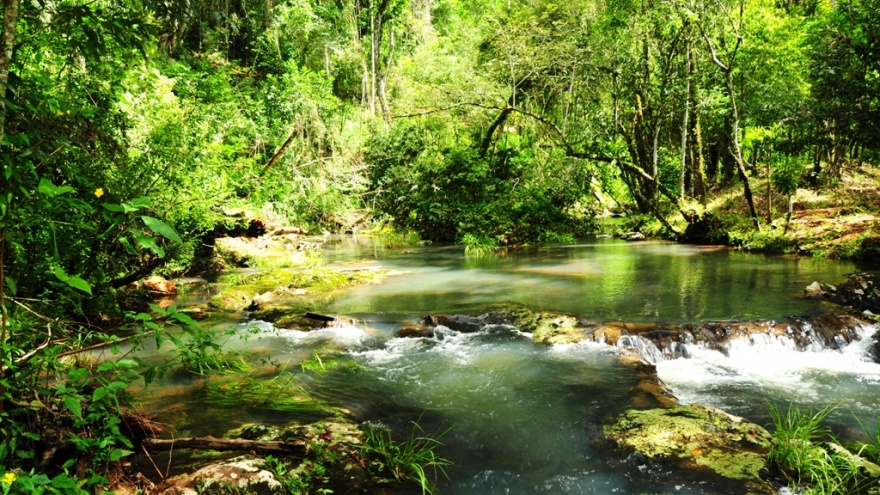 Misiones apuesta a la biodiversidad como clave para la recuperación económica en la nueva normalidad