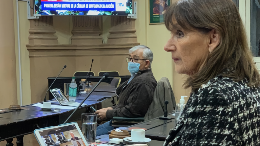 Virginia Cornejo: “Tienen que volver las actividades, la curva va a bajar y no vamos a estar preparados”