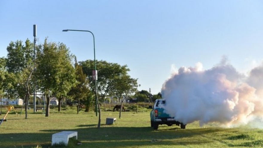 “La fumigación no es por sí sola la solución contra el dengue”