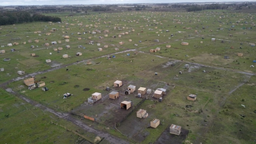 Ocupas en La Plata: Aseguran que el ex Club de Planeadores no es un terreno inundable