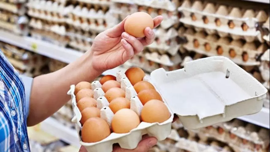 Productores de huevos informan una "situación desesperante" del sector