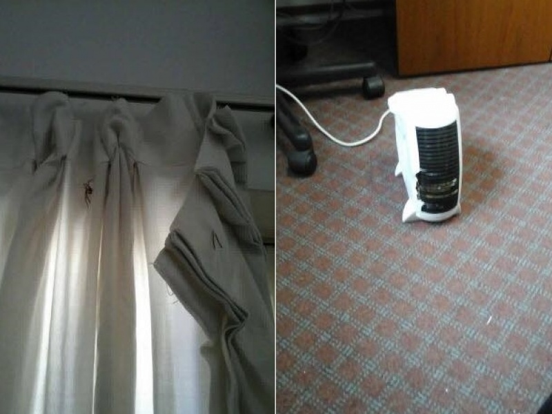 Actividades Portuarias: Empleados denuncian que el área de Contaduría se viene abajo