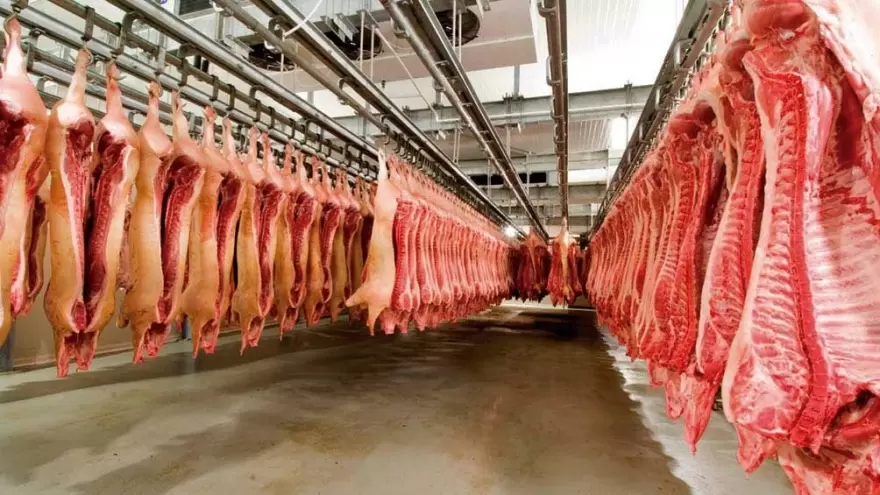 Por fraude, suspenden la operación de doce empresas que exportaban carne