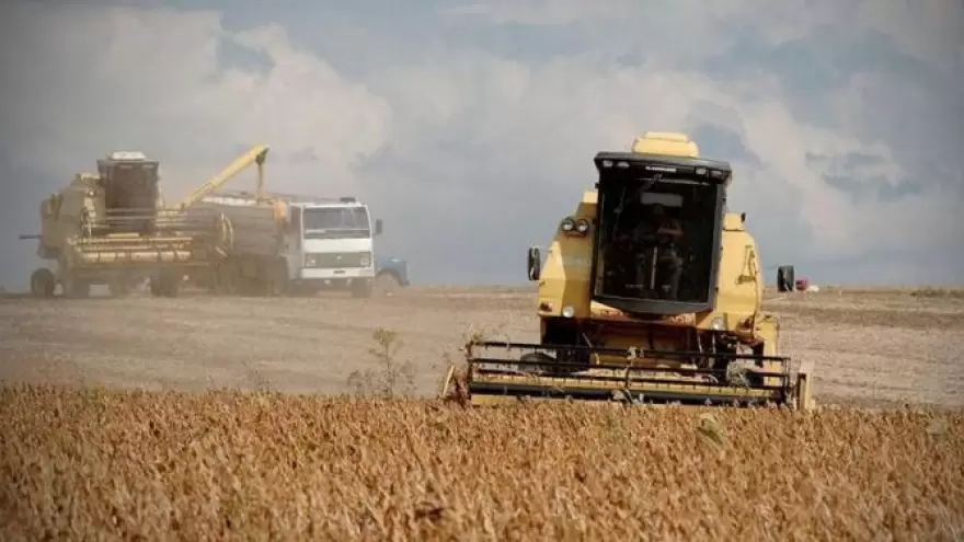 “Un sector agropecuario está llevando a la democracia argentina a un atolladero”
