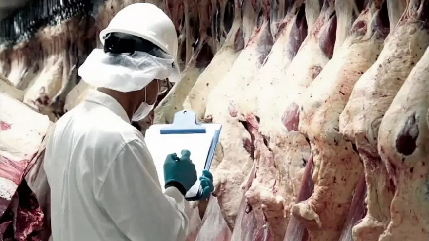 Límites a las exportaciones de carne: “Desfavorece a los frigoríficos que comprometieron su capital”