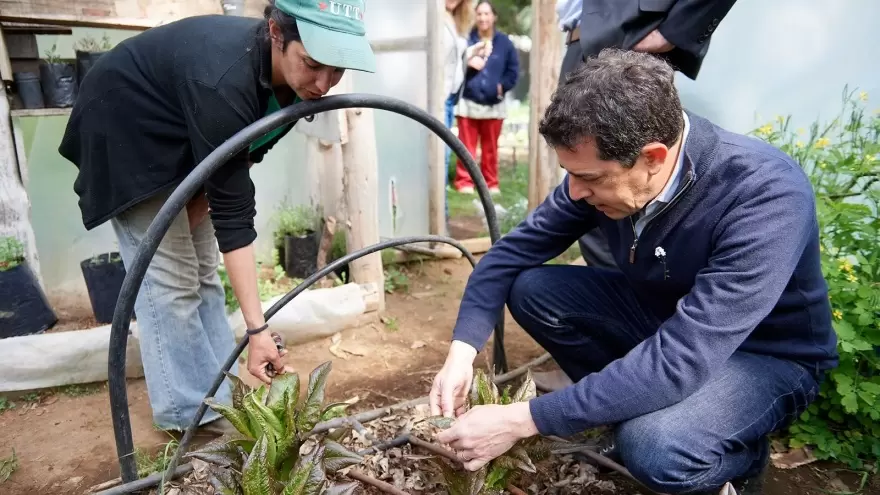 Wado De Pedro aseguró que lava la lechuga con jabón en polvo antes de comerla