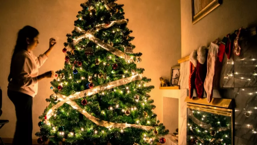 Rituales de Navidad: El armado del árbol y su origen pagano