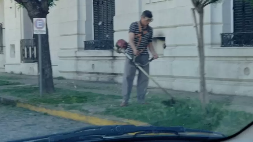 Pigüé: Por un paro de municipales, el intendente terminó cortando el pasto por su cuenta