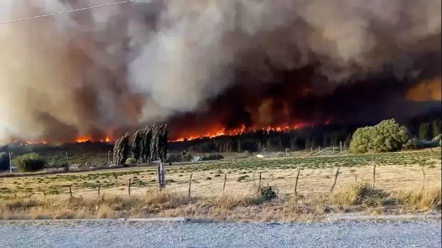 Patagonia: Desde Jóvenes por el Clima aseguran que “los incendios fueron intencionales”