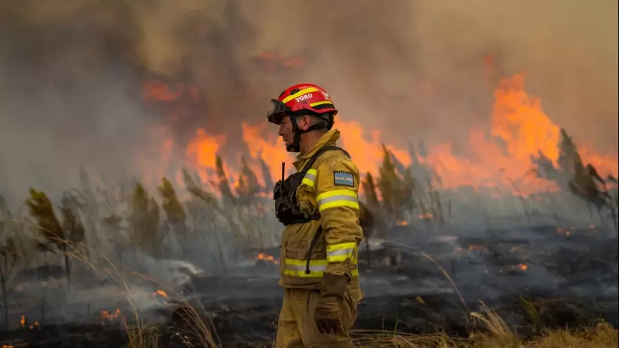 Por los incendios en Corrientes, advierten que “para 2024 hará falta stock de yerba”