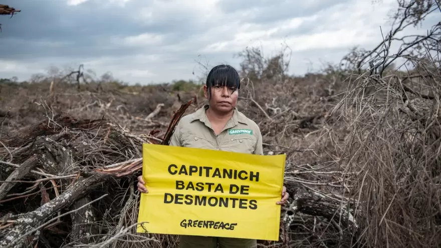 Alertan sobre una “política planificada” de deforestación y fumigaciones en Chaco
