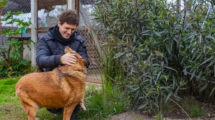 San Vicente: Vecinos indignados por trabajadores municipales que pintaron a  un perro