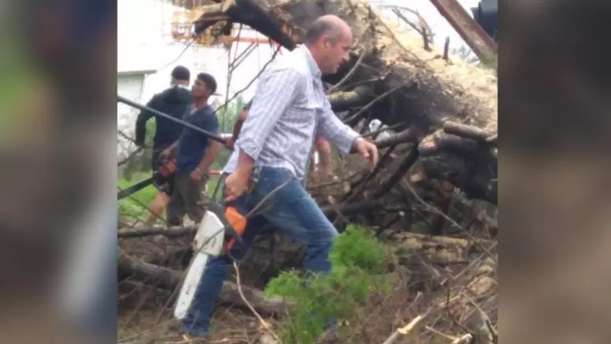 Ensenada: El ecocidio de Mario Secco se cobró nuevas víctimas
