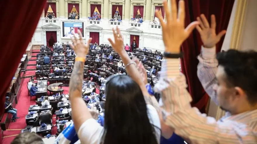 Diputados reconoció la Lengua de Señas Argentina y aprobó Alcohol Cero al volante