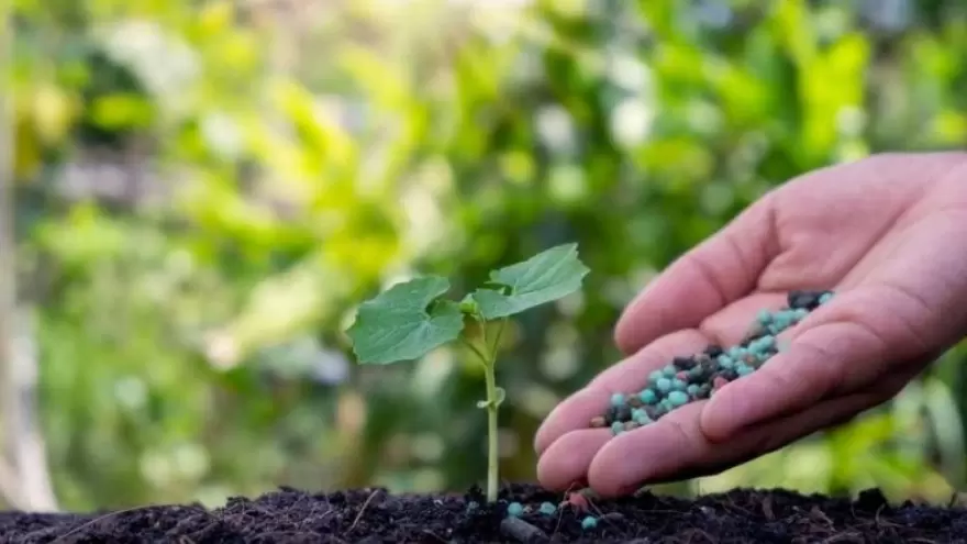 Marruecos destinará 13 mil millones de dólares a la producción de fosfatos con energía verde