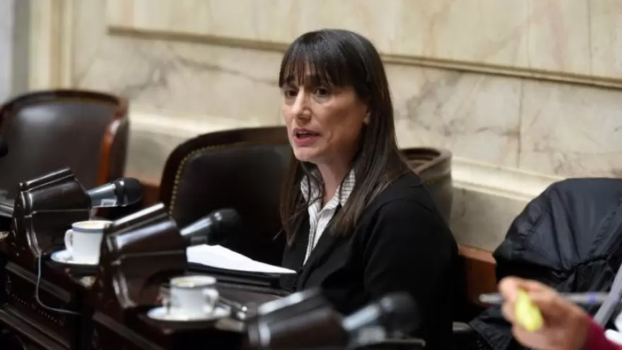 Romina Del Plá: "Los salarios mínimos están por debajo de la canasta de indigencia"