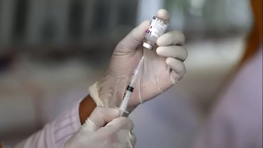 Argenvac 221, la vacuna platense contra el COVID-19: “Por ahora la hemos testeado en animales”