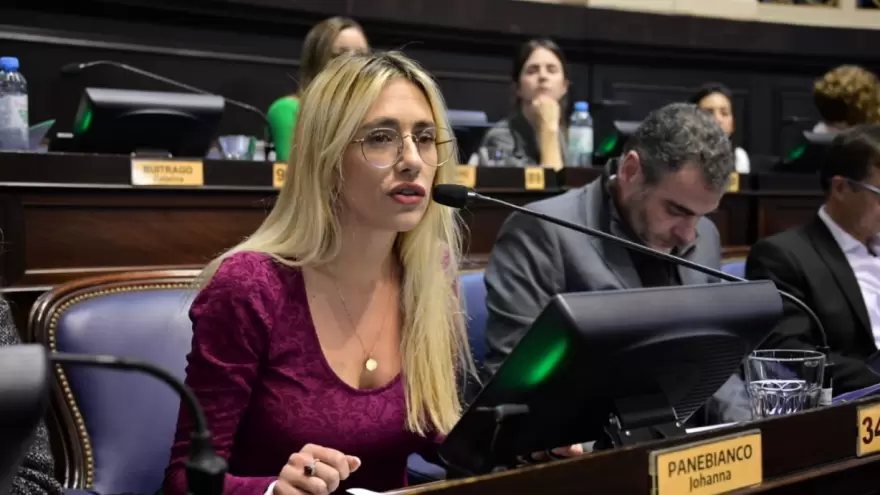 Johanna Panebianco: “Mi candidata a presidente es Vidal”