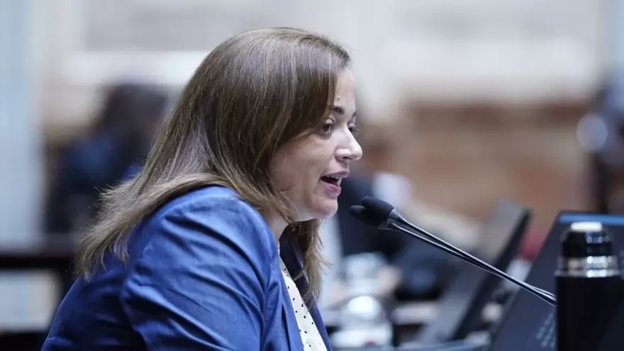 Cecilia Moreau: “Los senadores de Juntos por el Cambio no tienen empatía ni responsabilidad política”