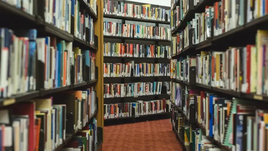 La preocupación de escritores y libreros por el mega DNU de Milei