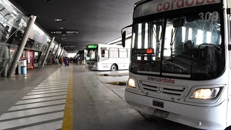 Córdoba: Malestar por el lanzamiento del Munibus