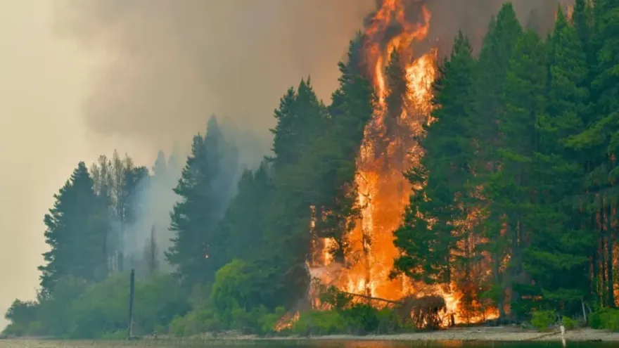 Alerta por los incendios en la Patagonia: “No se atacó el fuego en su debido momento”