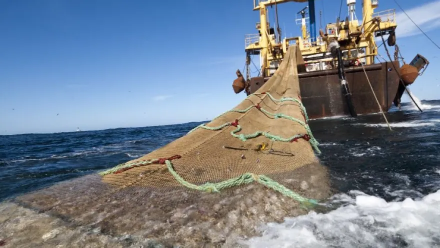 Argentina Azul: "El mar puede ser la clave para terminar con la inflación y la pobreza en el país”