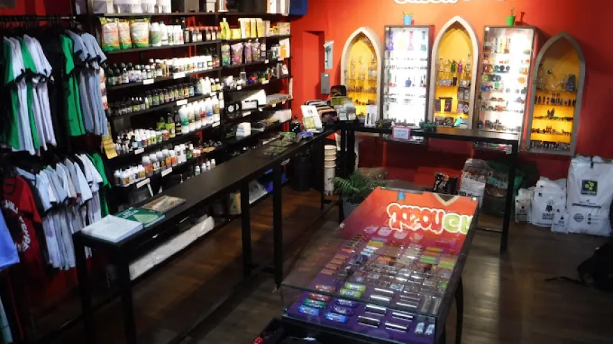 Jason, la rockería de La Plata celebra 25 años: “Vemos un renacer del rock y de su identidad en los pibes”