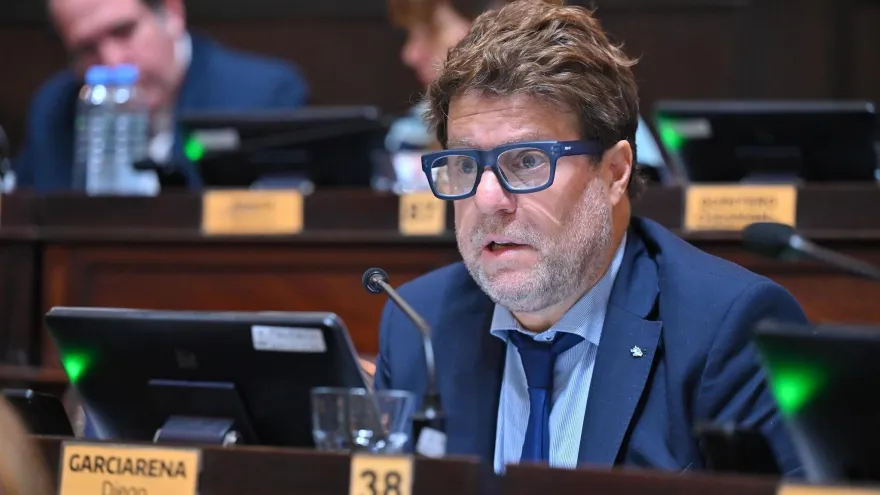 Diego Garciarena: "Axel Kicillof tiene que trabajar de gobernador de la provincia de Buenos Aires"