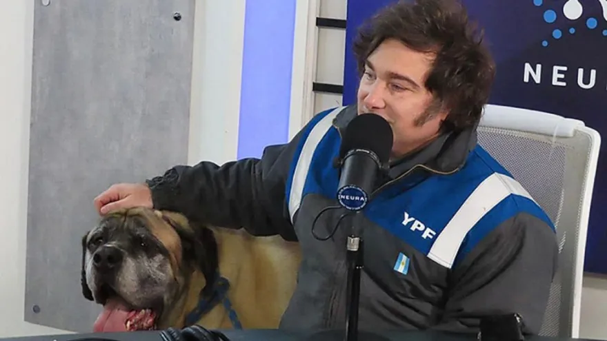 YPF: Grok contradijo al gobierno y expuso su versión del fallo