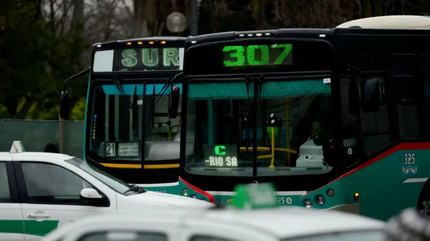 Colectivos en riesgo: “Estamos reduciendo servicios para poder sobrevivir”