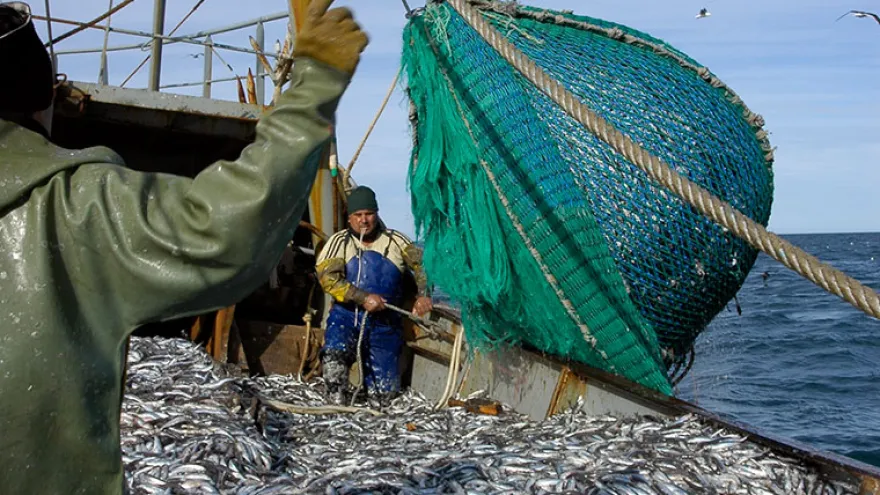 Proyecto Argentina Azul: “El país puede empezar a explotar sus mares”