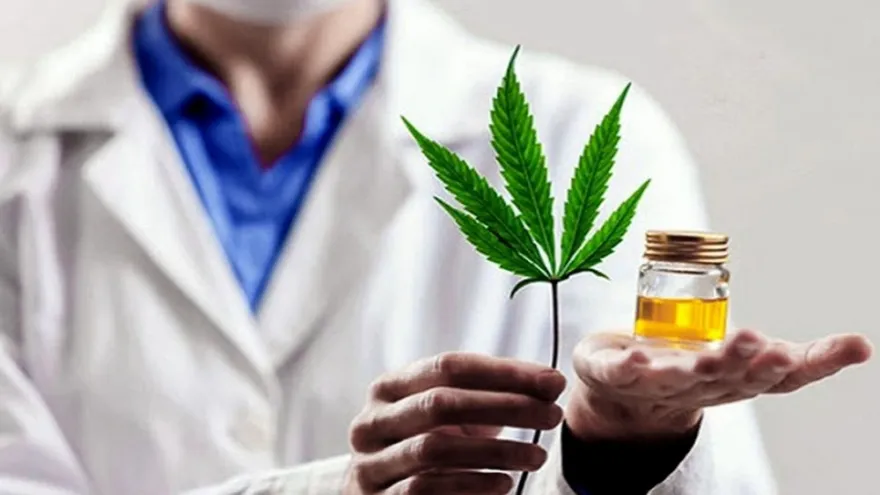 Cannabis medicinal: “La criminalización de los consumos no resolvió nada”