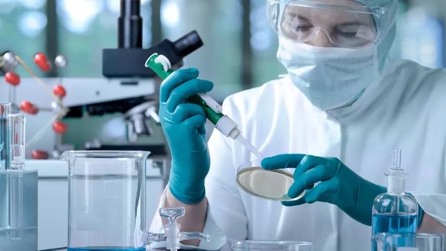 MSD Argentina: "Hoy se habla de cáncer como una enfermedad crónica gracias a los avances"