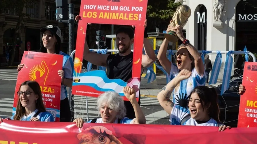 Sinergia Animal apuntó contra Mostaza: "Es hora de sacarle tarjeta roja"