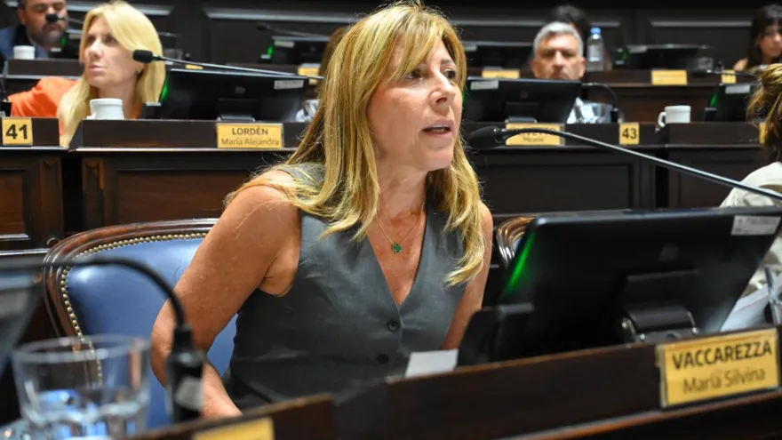 Silvina Vaccarezza denunció la situación del IOMA: "El dinero no va donde tiene que ir"