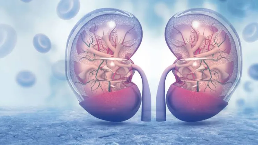 Cáncer renal: "El mensaje más importante es no tener miedo y hacerse los controles"