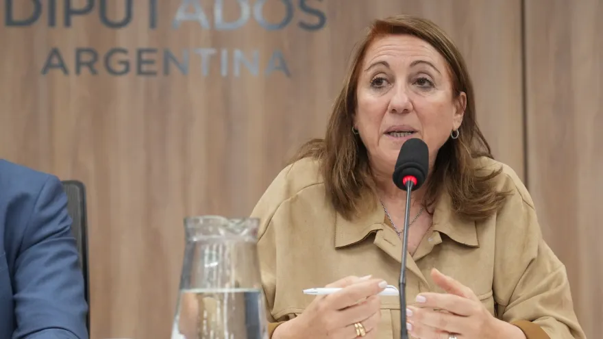 Mónica Fein: "Javier Milei desconoce a la democracia como sistema, es cruel, violento"