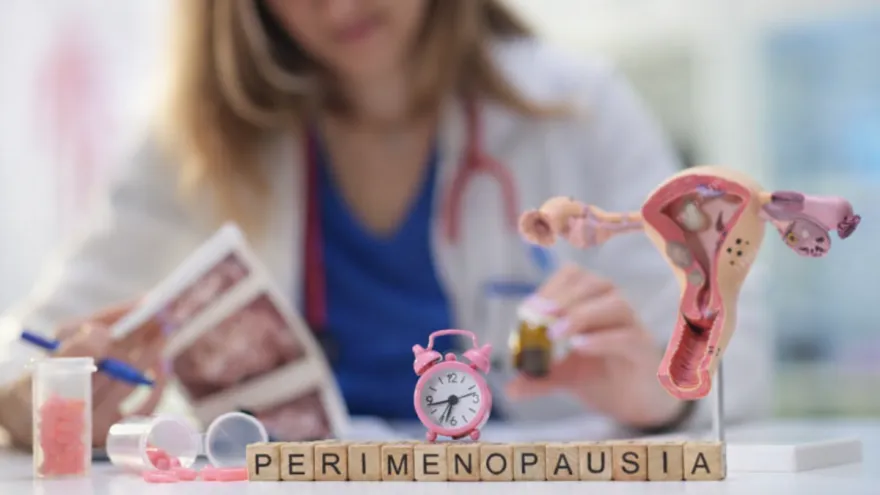 Perimenopausia: "No es una enfermedad, es una etapa más en la vida de una mujer"