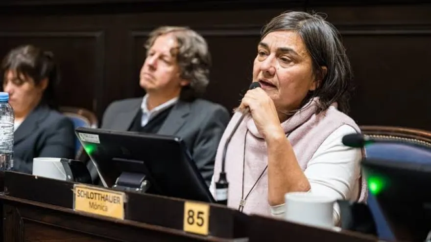 Mónica Schlotthauer: "En la Legislatura no quieren discutir los problemas de la gente"
