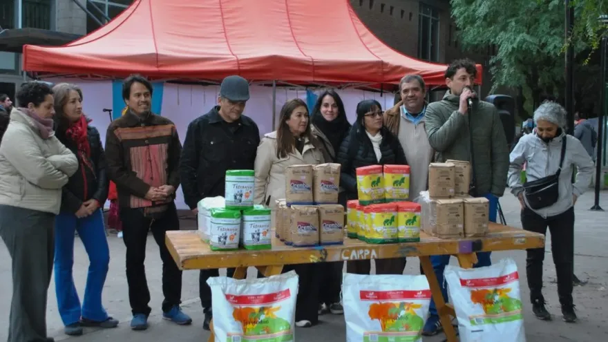 Desregulación de la yerba mate: "Esto destruye a los pequeños productores”