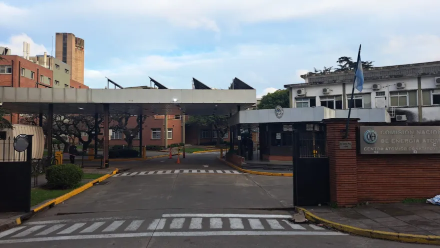 "El desguace en la CONEA pone en riesgo áreas clave para la salud y la energía"