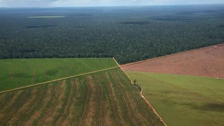 “Eliminar los límites de la ley de Tierras es un riesgo enorme para la soberanía”