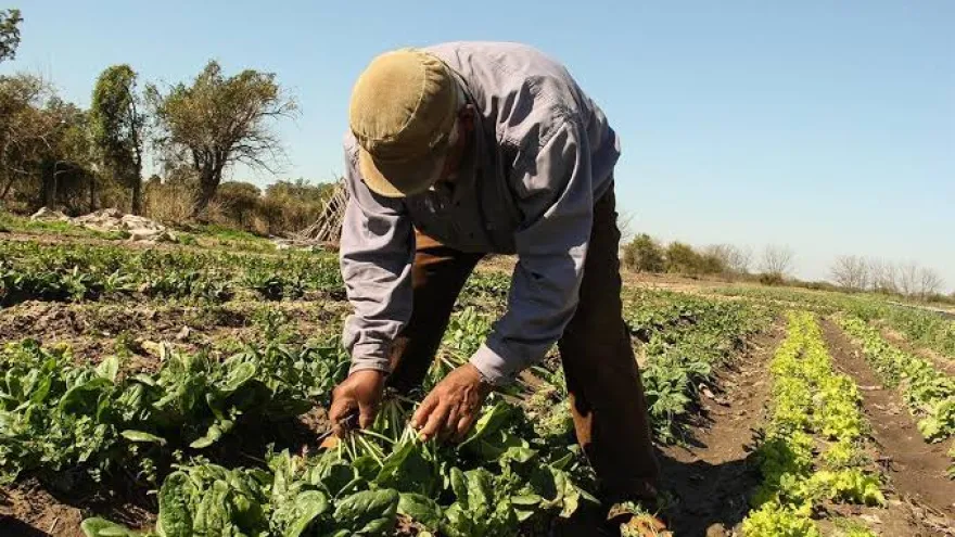 "La agroecología propone al suelo como un sistema vivo que puede mejorar sus condiciones"