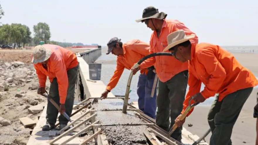 "Se pierde todo el ecosistema": ONG alerta por la extensión del murallón en Punta Lara