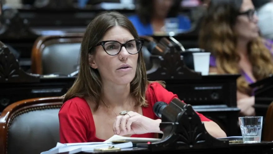 Marina Salzmann: "6 millones de argentinos no están pudiendo pagar sus deudas"